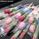 무실초등학교 병설유치원 이미지