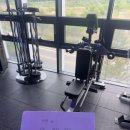 뉴텍 벤트오버 레터럴 레이즈 사레레 신형색 신제품 이미지