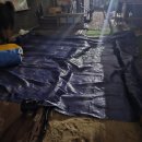 도화동쉼터 | [포키즈체육교실][인천 도화동] 💦 아이들과 함께한 시원한 여름 물놀이 행사 후기 💦