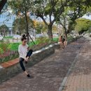 연동주민센터일대 이미지