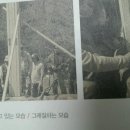 다루 이미지