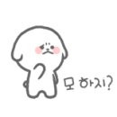 명동시네마 이미지