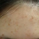 메어리벳의원 이미지