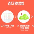 피크닉댕댕 네이버블로그