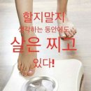 365점핑클럽