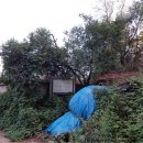 대구도남초등학교 체육대회 이미지