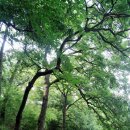 산성축산