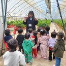 갈마농장 이미지