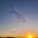 꿈섬 미술전시회 이미지