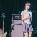 마젠타 이미지