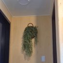 장안로1길 이미지