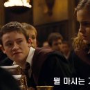 해리 포터와 불의 잔 ( Harry Potter and the Goblet of Fire 2005 ) 이미지