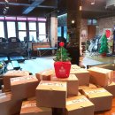 케이제이(KJ)퍼스널트레이닝 이미지