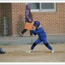 공주중동초등학교 Daum카페