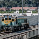 오송8교 이미지