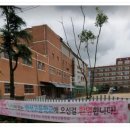 공립성모어린이집 이미지