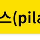(주)엔피티