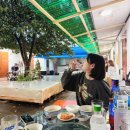 갯벌 | 태안 여행! 숙소 추천 맘모스 펜션 맛조개 갯벌 체험 솔직 후기 (바다 가까운 숙소)