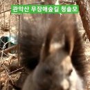 관악산 무장애숲길 이미지