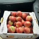 원화산로 이미지