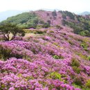 중흥3동으뜸산악회제26차정기산행안내 이미지