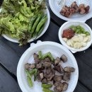 문수힐링피크닉장 이미지