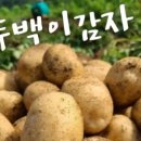 큰농부작은농부