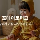 스튜디오피그