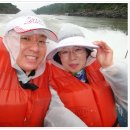 [특집] 세계 3대 폭포 (이과수-빅토리아-나이아가라) 스케치.......(Iguazu Falls 맛보기 동영상 포함) 이미지