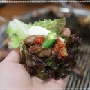 성심농장 이미지