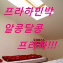 알콩민박 이미지