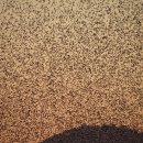 내고향서천 이미지