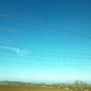 도화한의원 이미지