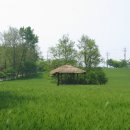 보리밭 노래비 이미지