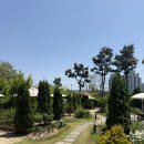 595 | 인천 남동구 수산동 정원 카페 - 카페 티쏘 후기 ღ