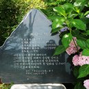 이충무공어록비 Daum카페