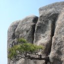 서순천주유소 이미지