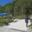 아산중앙도서관 이미지