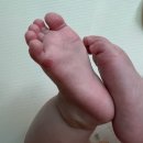 하얀나라어린이집 | 플라넷 광교, 잉글레시나 휴대용유모차, 앉기 시작, 어린이집 입소준비물, 6개월 아기 코감기, 장난감 추천
