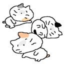 코끼리인형뽑기 이미지