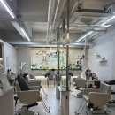 커트 클리닉 잘하는 화서동 미용실 ‘데이오유’ 아윤채 클리닉 후기