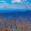 종자산 등산로 이미지