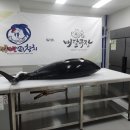 배달극장 이미지
