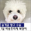 원당동물병원 이미지