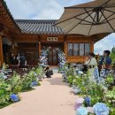 블루퍼플 | 여름맞춤 성북예향재 블루퍼플 웨딩플라워 후기