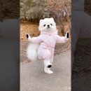 강아지에 빠지다 이미지