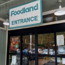 Hi - 도그 | 하와이 카우아이 여행 코스 와일루아 폭포 킬라우에아 등대 | 로스 푸드랜드 쇼핑