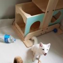 (주)한양사료 이미지