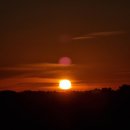 (주)꼬끼오 이미지