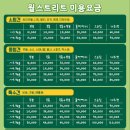 월 스트리트 애견유치원 이미지